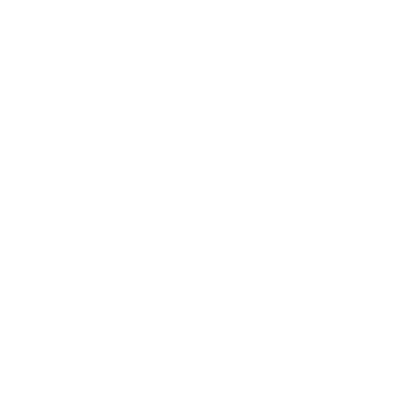 Sapien Apparel